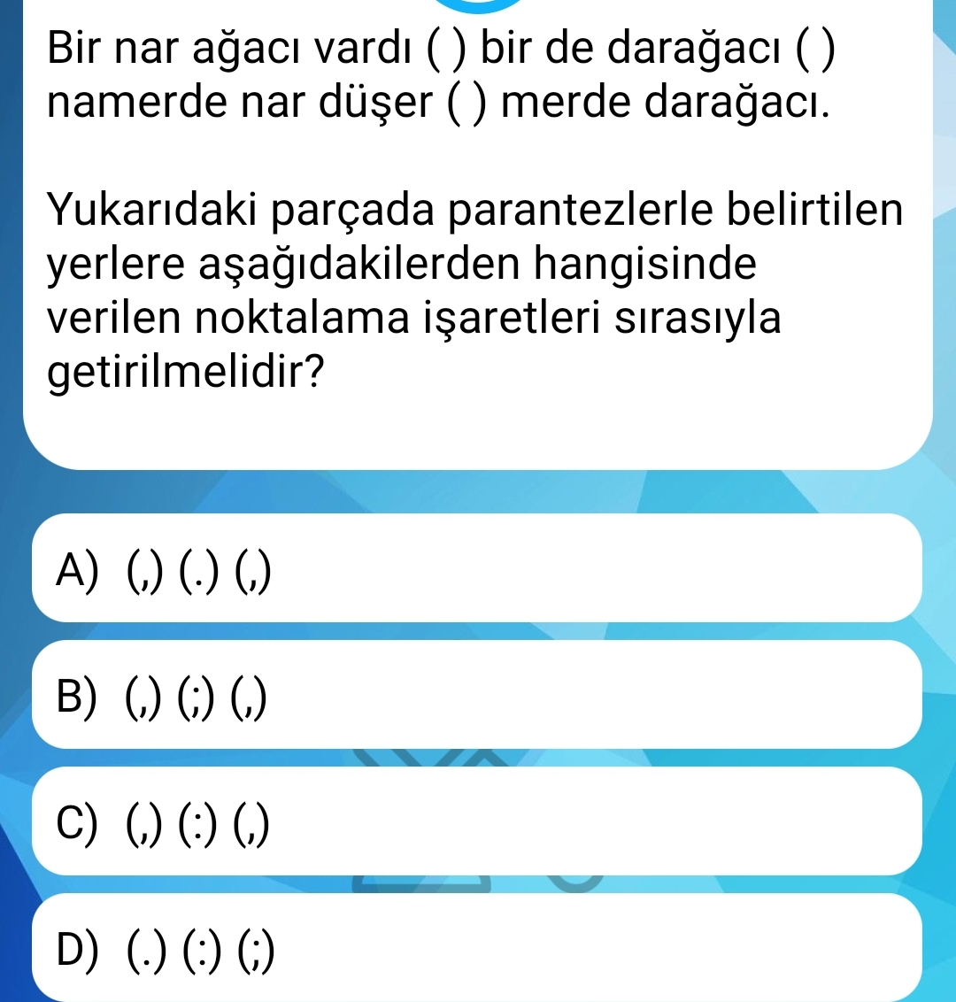 Soru Görseli